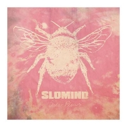 Review: Slomind - Solar Plexus